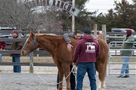 LR-2025-03-15 Retreat-0783